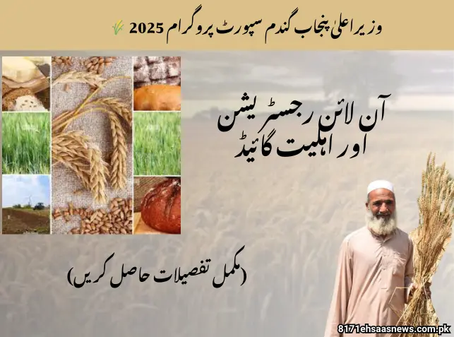 🌾 CM Punjab Wheat Support Program 2025: Online Registration & Eligibility Guide