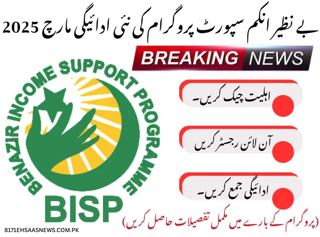 Benazir Income Support Program