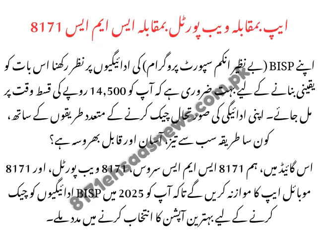 8171 App vs Web Portal vs SMS Fastest Way to Check BISP Payment, The Best Guide 2025