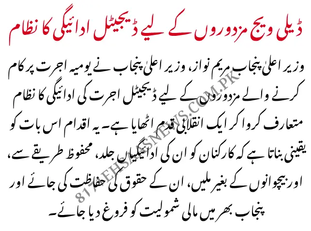 CM Punjab  Launches Digital Payment System