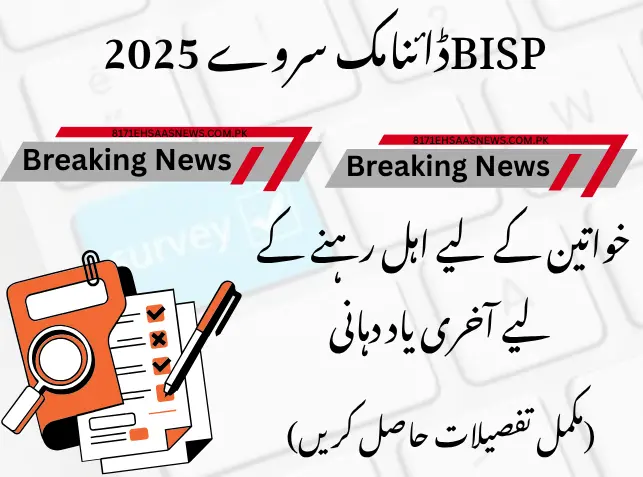BISP Dynamic Survey