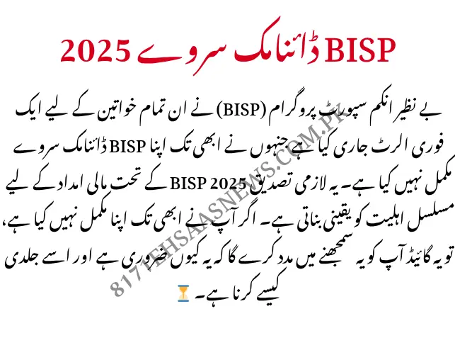 BISP Dynamic Survey 