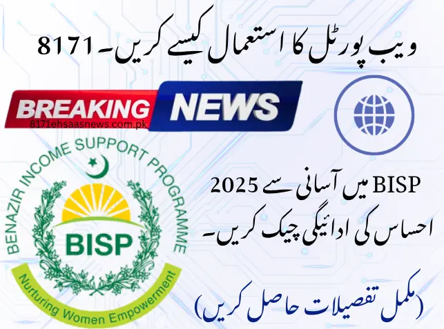 How to Use the 8171 Web Portal