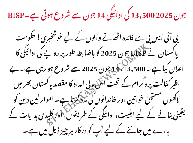 bisp payments