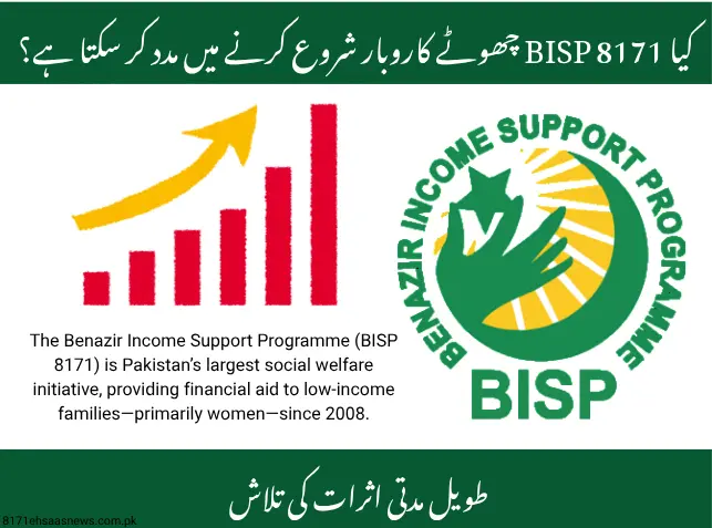 BISP 8171 Help Start Small Businesses