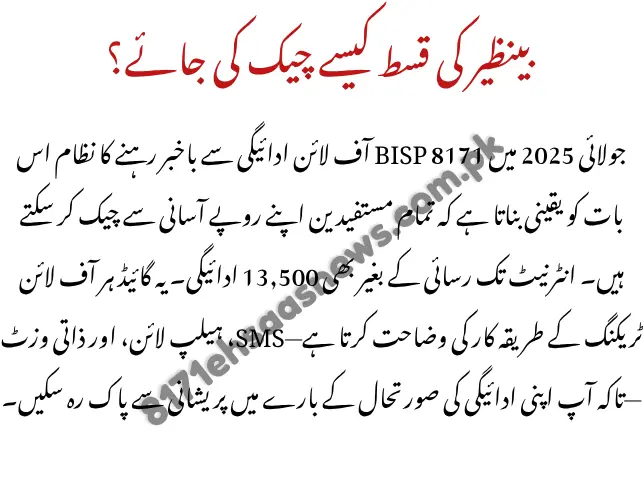 BISP 8171 Offline Payment