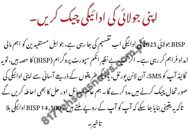 Check BISP Payment Online 